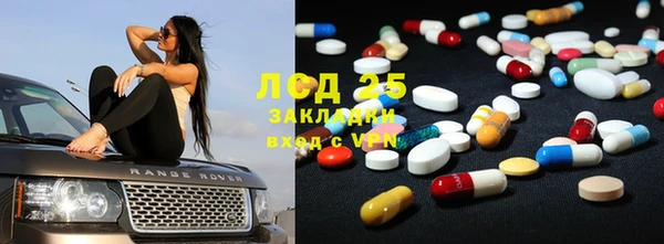 PSILOCYBIN Алзамай
