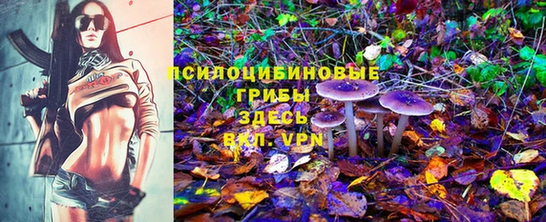 spice Болотное