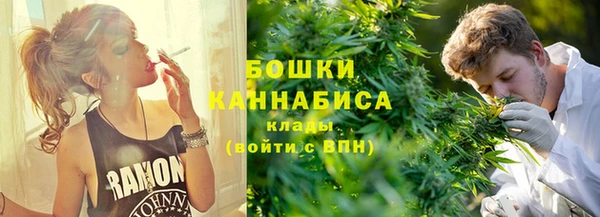PSILOCYBIN Алзамай