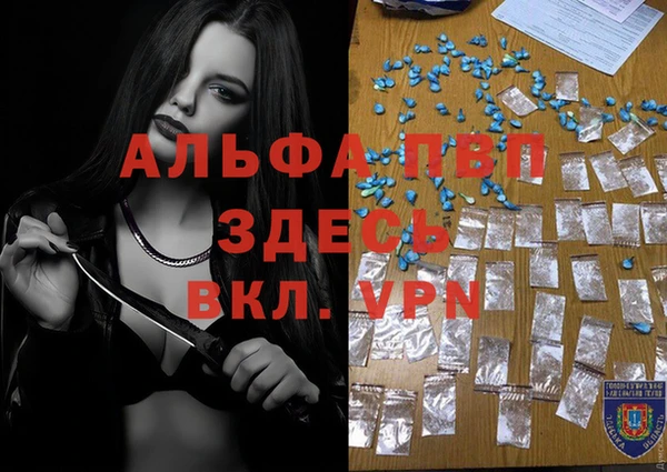 индика Покровск