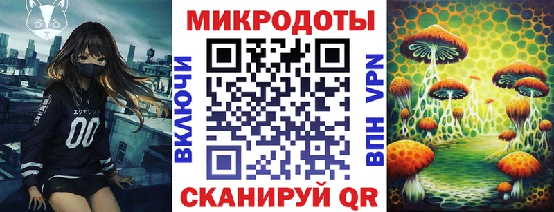 Псилоцибиновые грибы прущие грибы Олонец